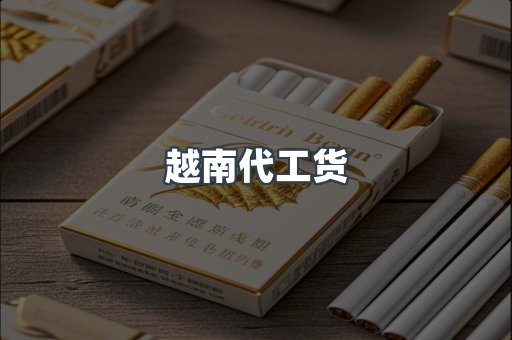 越南代工货